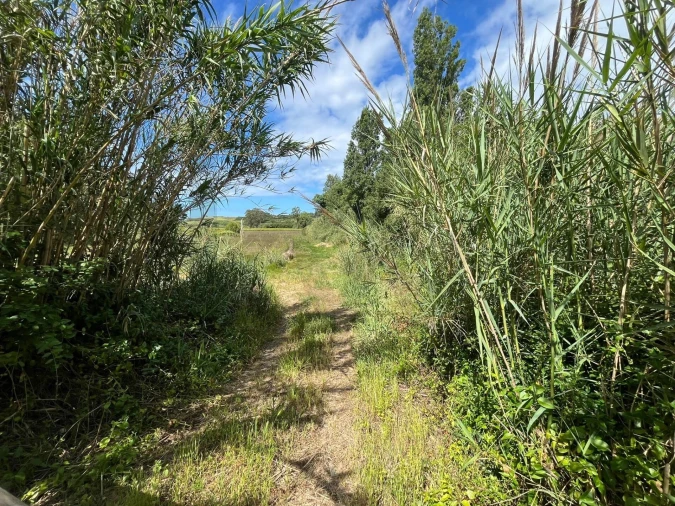 Terreno para Venda em Encarnação Foto 7