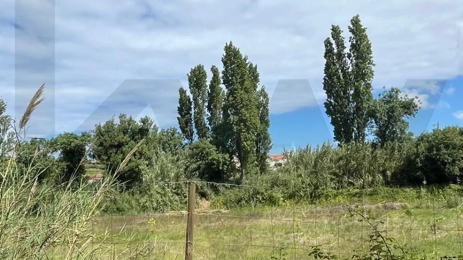 Terreno para Venda em Santo Isidoro