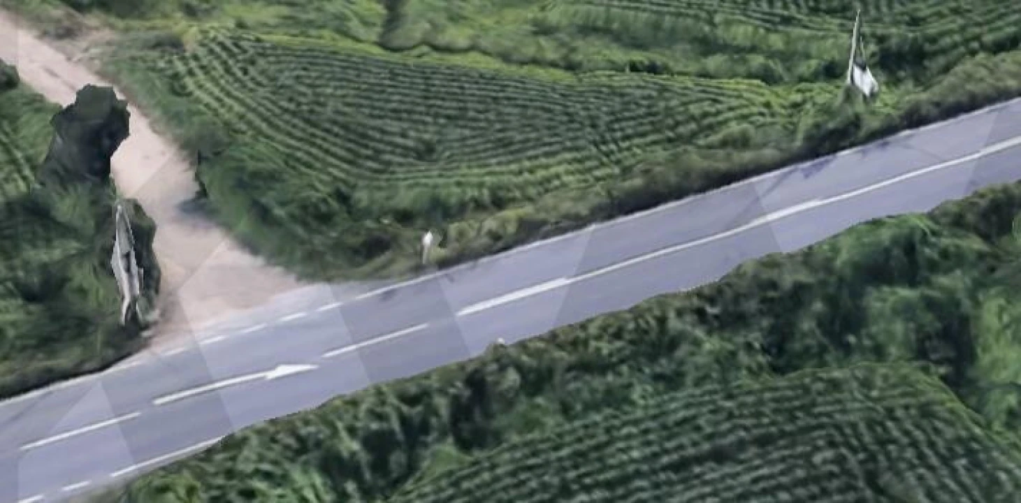 Terreno para Venda em Areias de Vilar e Encourados Foto 3