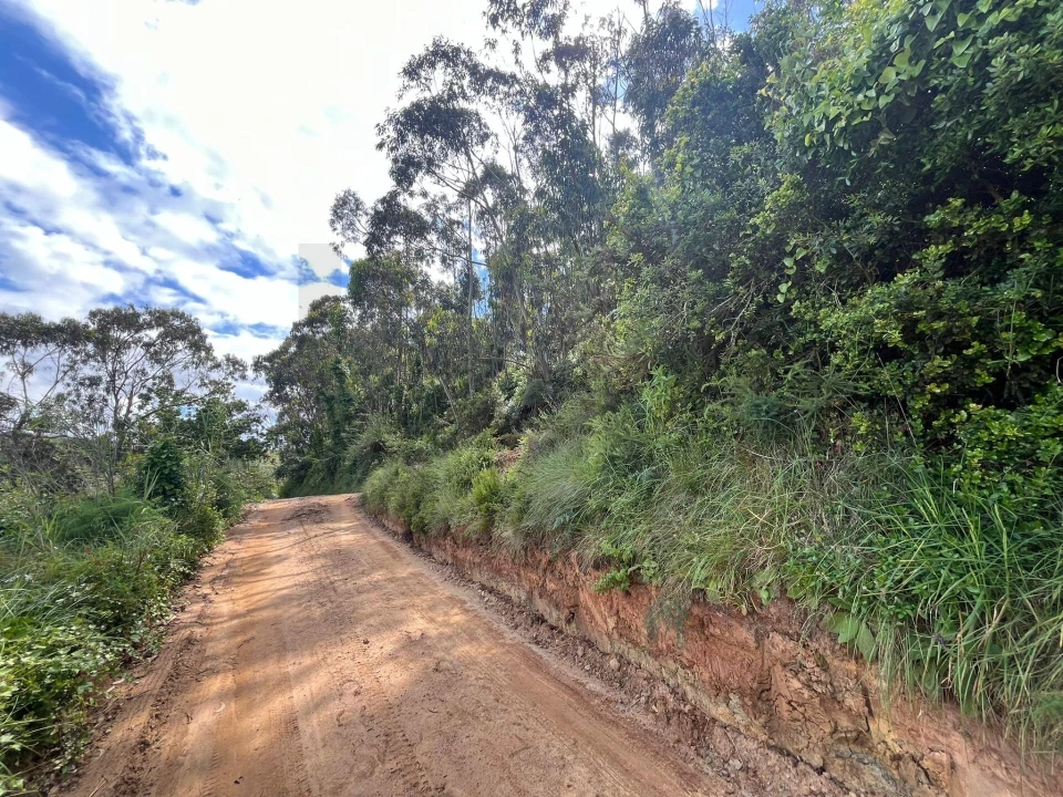 Terreno para Venda em Encarnação Foto 6