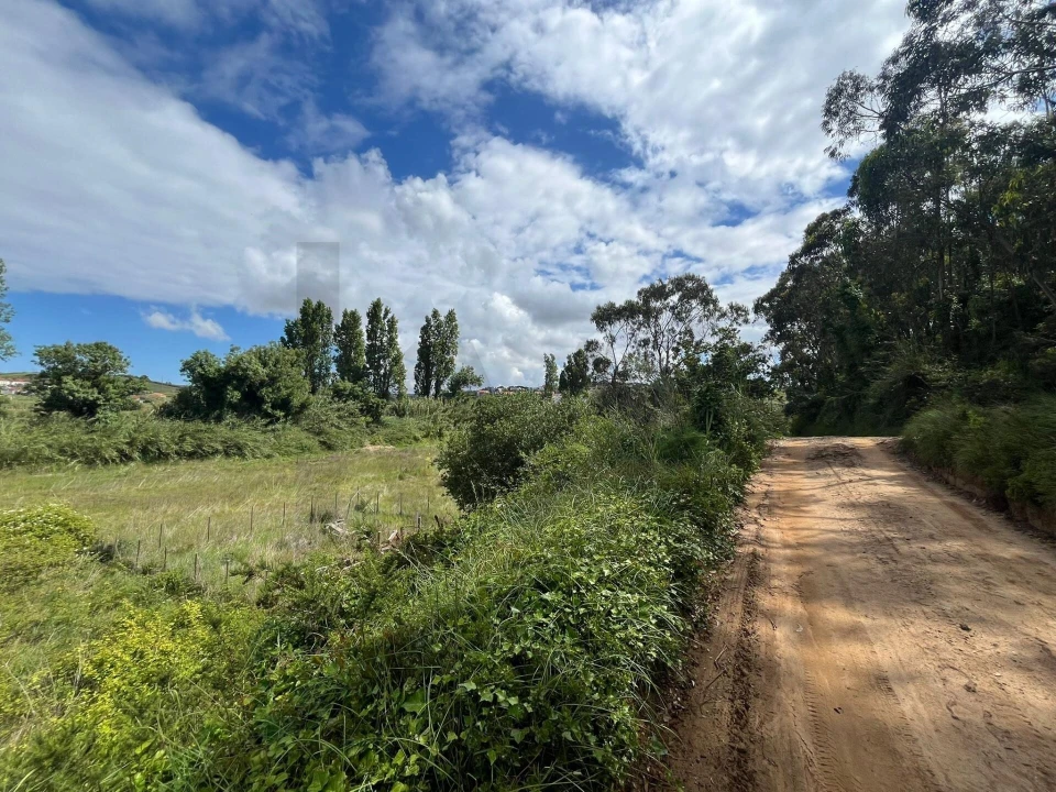Terreno para Venda em Encarnação Foto 4