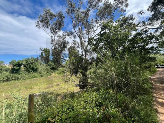 Terreno para Venda em Encarnação Foto 5