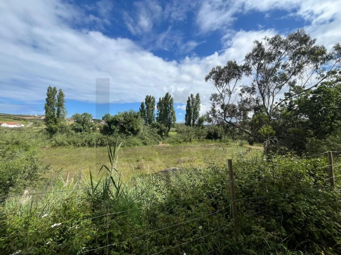 Terreno para Venda em Encarnação Foto 8