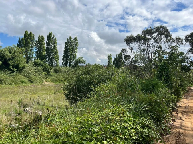 Terreno para Venda em Encarnação Foto 3