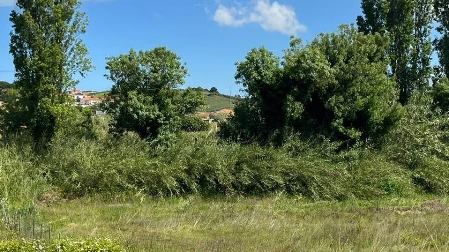 Terreno para Venda em Santo Isidoro