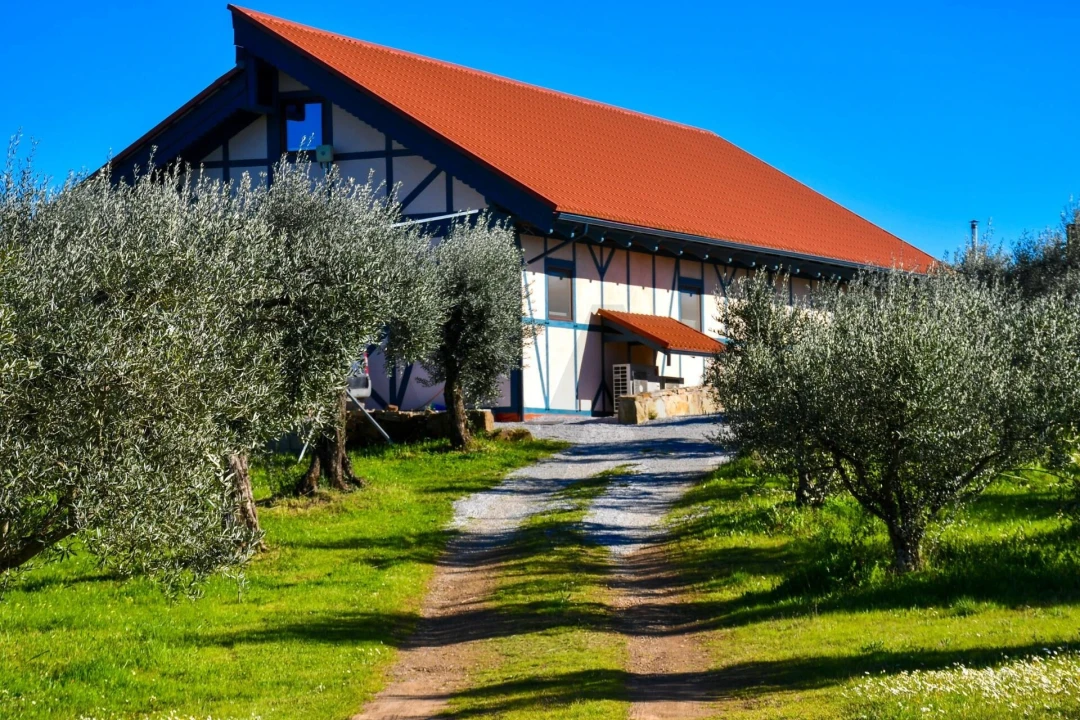 Quinta T9 para Venda em Vale de Prazeres e Mata da Rainha Foto 7