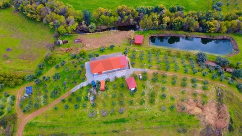 Quinta T9 para Venda em Vale de Prazeres e Mata da Rainha
