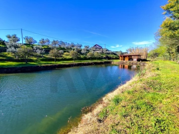 Quinta T9 para Venda em Vale de Prazeres e Mata da Rainha