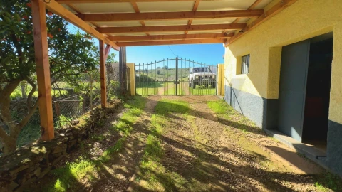 Quinta T9 para Venda em Vale de Prazeres e Mata da Rainha