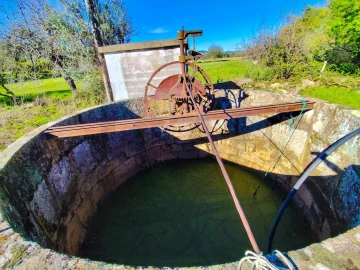 Quinta T9 para Venda em Vale de Prazeres e Mata da Rainha