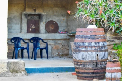 Quinta T9 para Venda em Vale de Prazeres e Mata da Rainha
