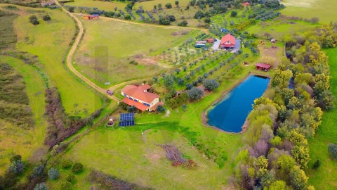 Quinta T9 para Venda em Vale de Prazeres e Mata da Rainha