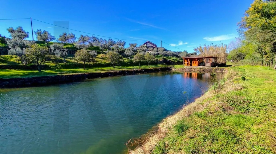 Quinta T9 para Venda em Vale de Prazeres e Mata da Rainha Foto 81