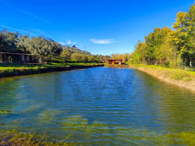 Quinta T9 para Venda em Vale de Prazeres e Mata da Rainha Foto 89