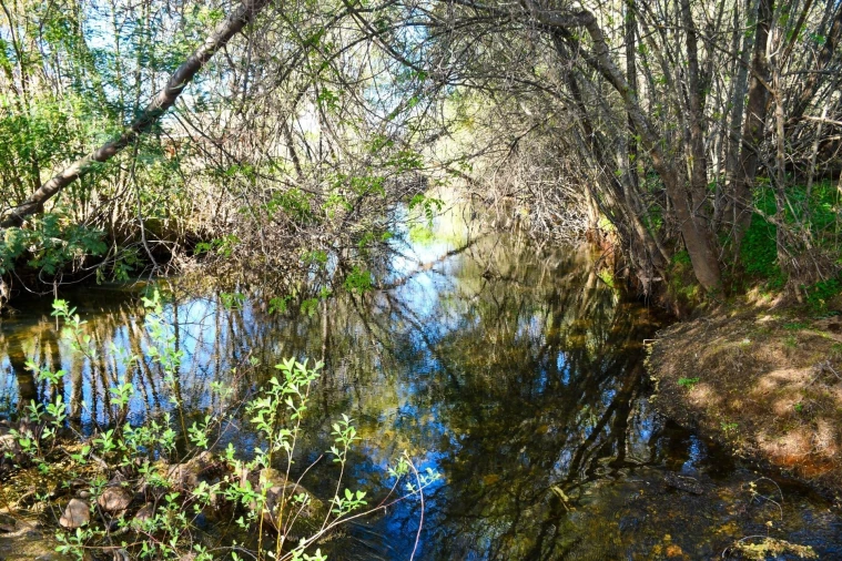 Quinta T9 para Venda em Vale de Prazeres e Mata da Rainha Foto 62