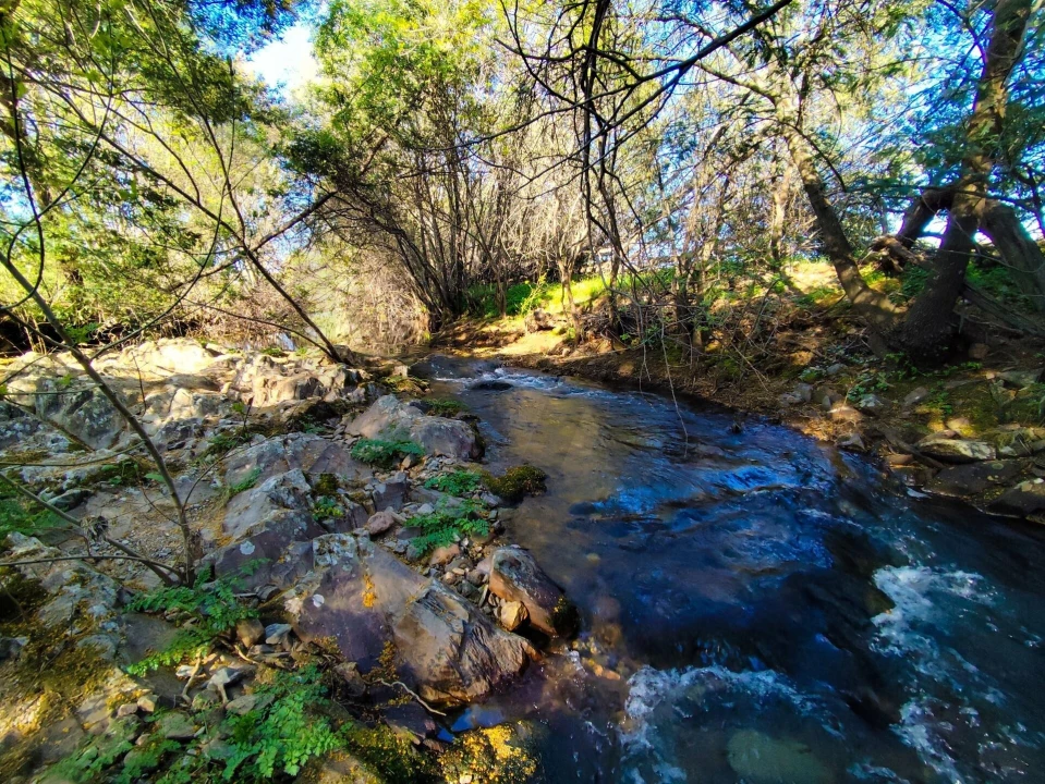 Quinta T9 para Venda em Vale de Prazeres e Mata da Rainha Foto 101