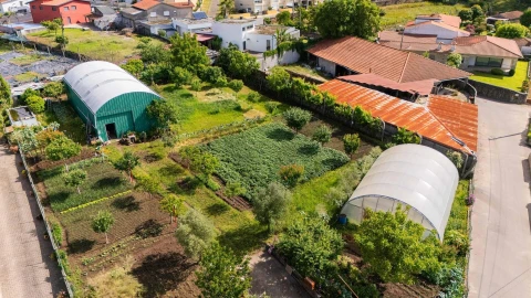 Terreno para Venda em Viatodos, Grimancelos, Minhotães, Monte Fralães
