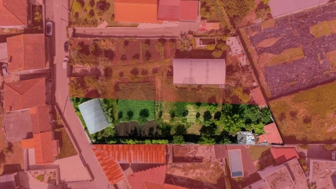 Terreno para Venda em Viatodos, Grimancelos, Minhotães, Monte Fralães