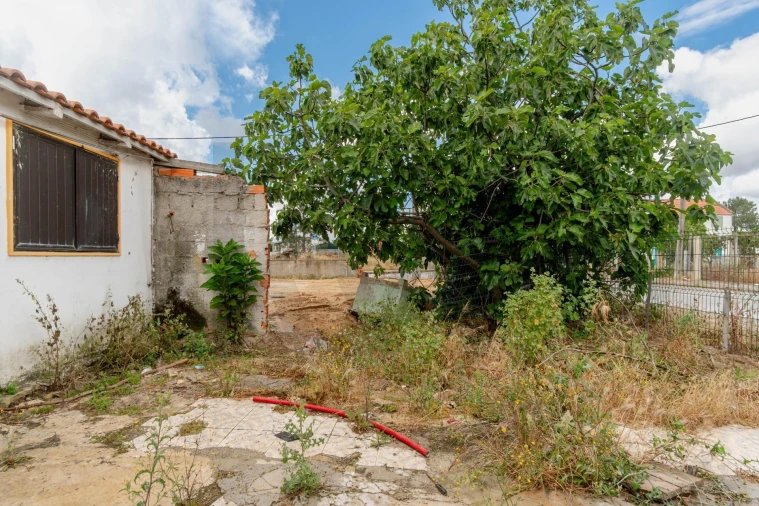 Terreno para Venda em Quinta do Anjo Foto 13
