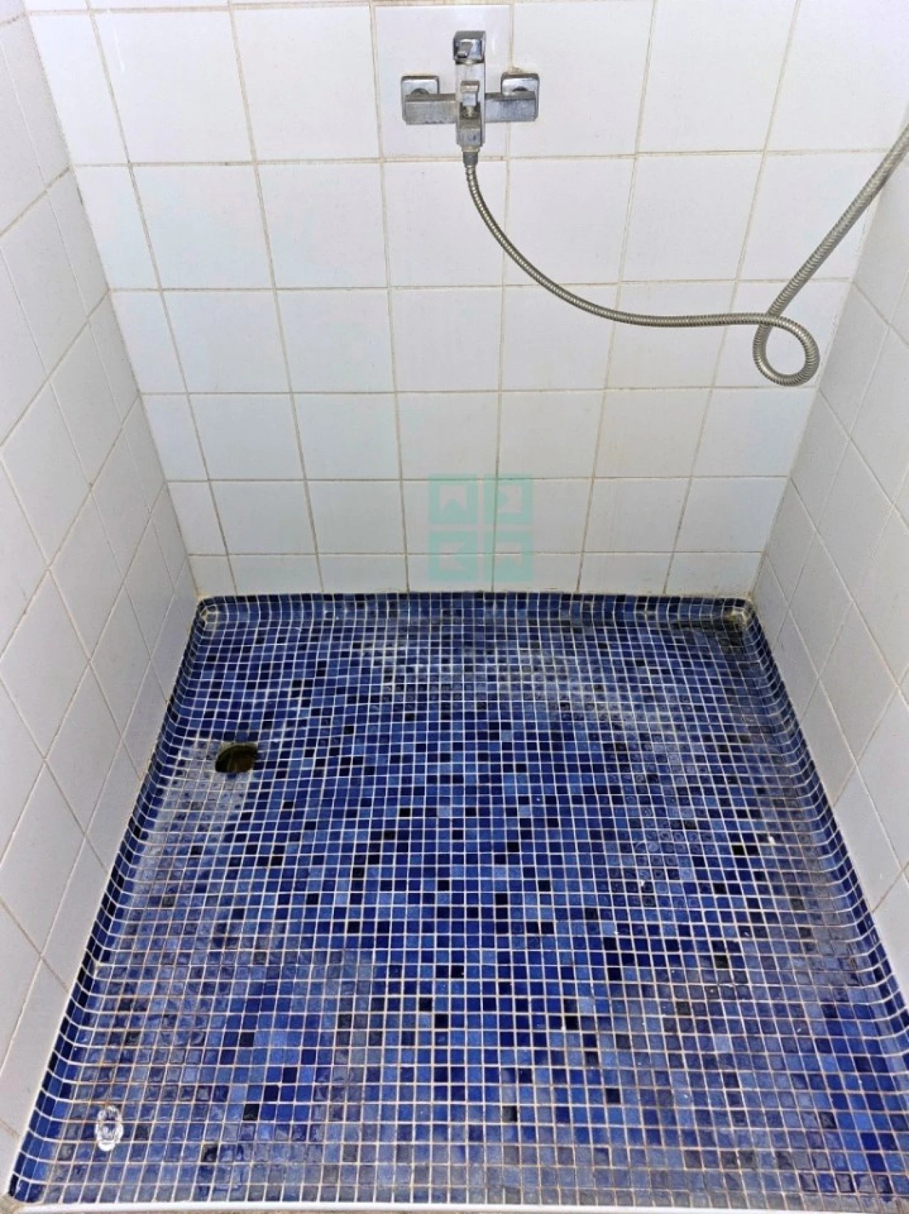 Negócio para Venda em Ereira e Lapa Foto 30