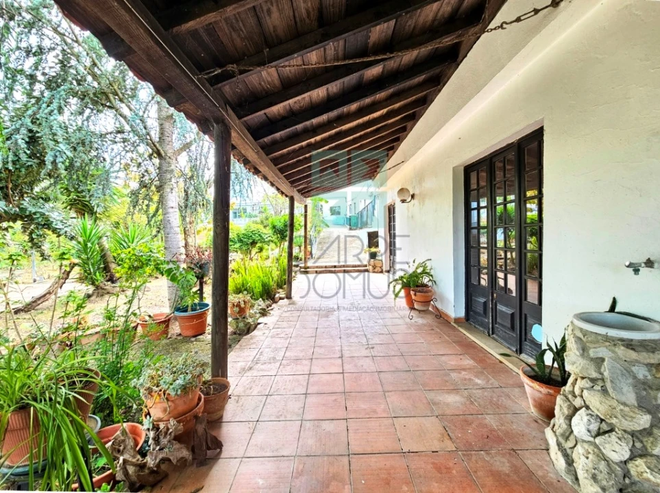 Negócio para Venda em Ereira e Lapa Foto 32