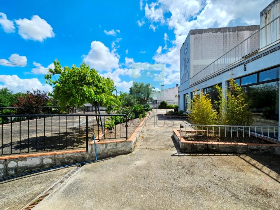 Negócio para Venda em Ereira e Lapa Foto 56