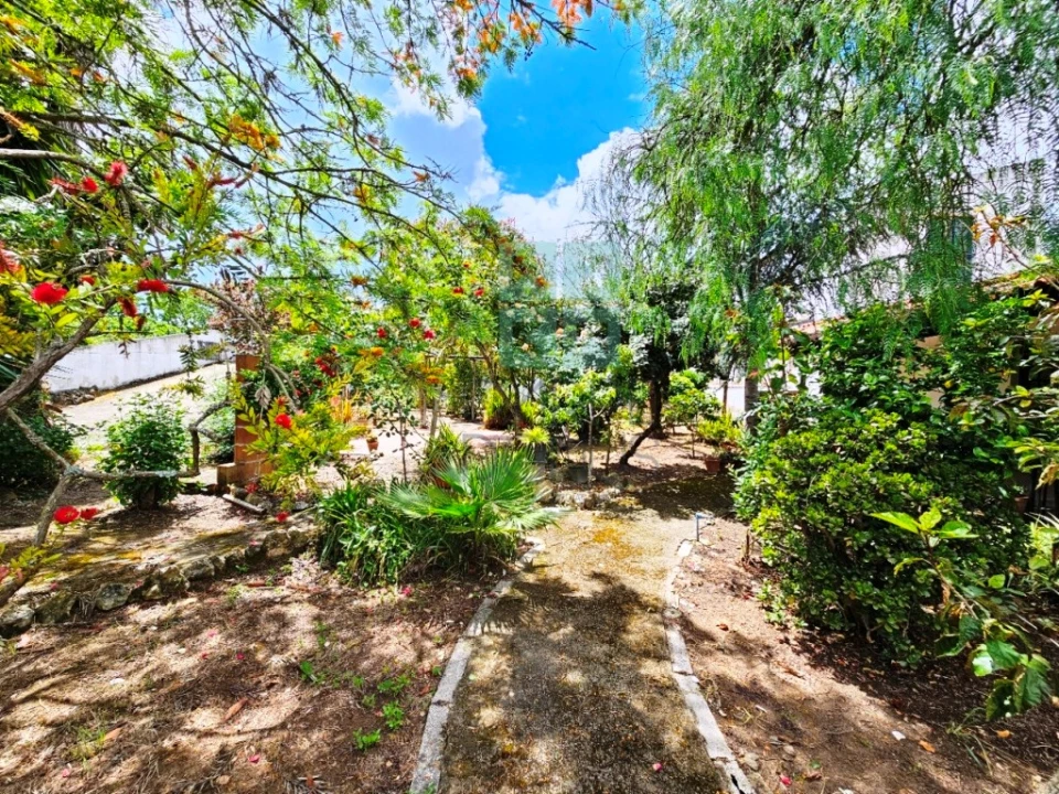 Negócio para Venda em Ereira e Lapa Foto 58