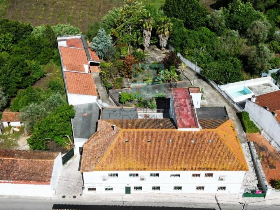 Negócio para Venda em Ereira e Lapa Foto 1