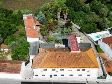 Negócio para Venda em Ereira e Lapa