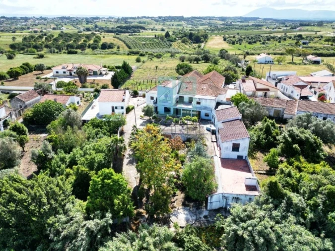 Negócio para Venda em Ereira e Lapa Foto 62