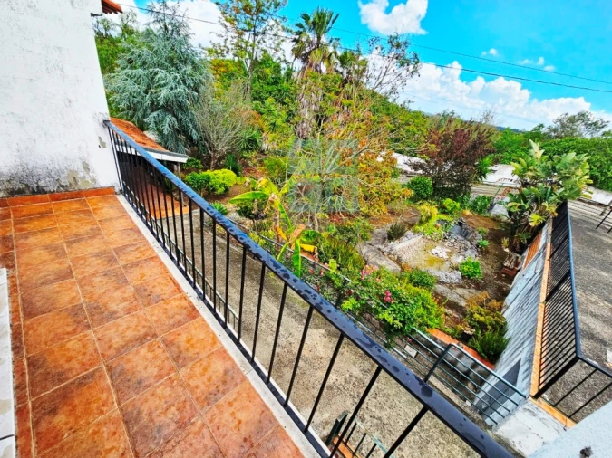 Negócio para Venda em Ereira e Lapa Foto 36