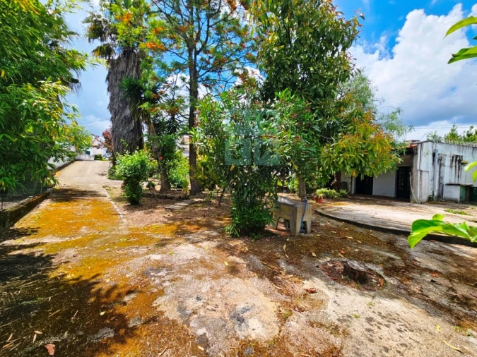 Negócio para Venda em Ereira e Lapa Foto 57