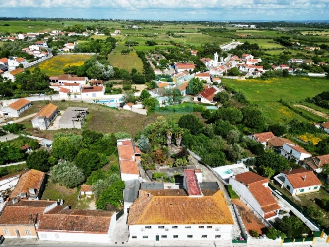 Negócio para Venda em Ereira e Lapa Foto 6