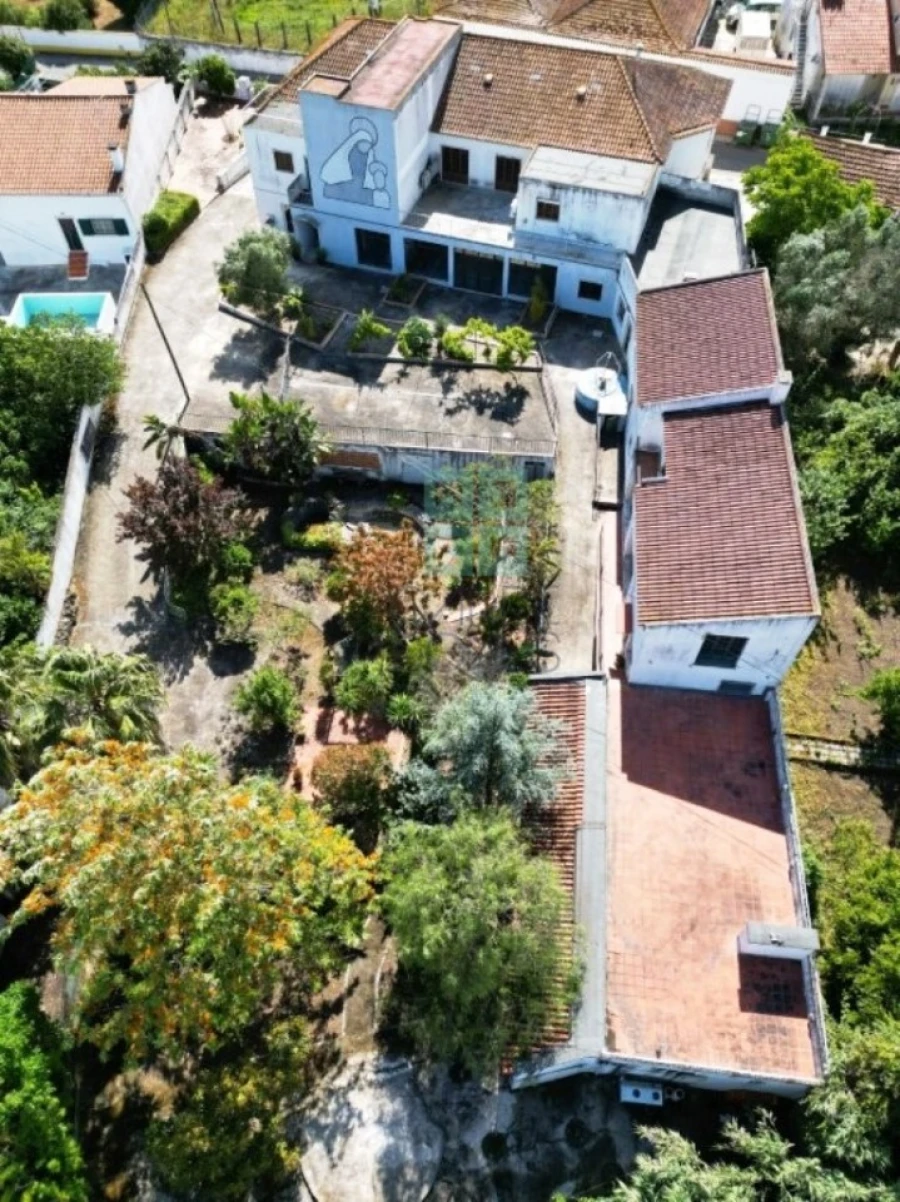 Negócio para Venda em Ereira e Lapa Foto 61