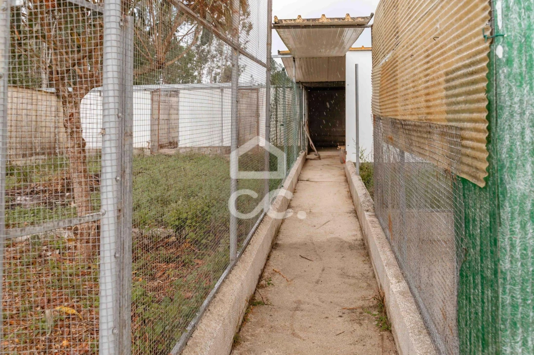 Moradia T5 para Venda em Soure Foto 29