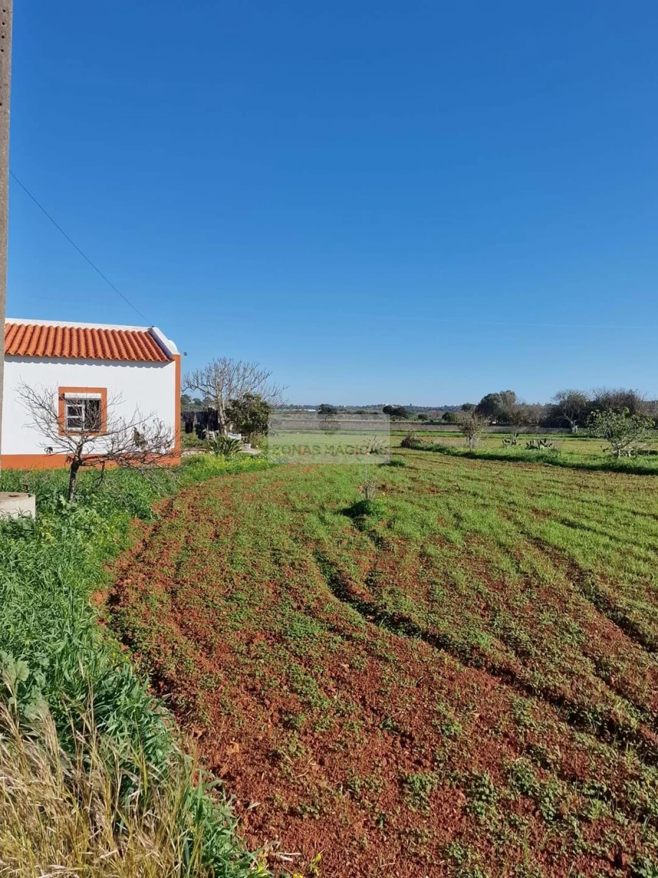 Quinta T1 para Venda em Odiaxere Foto 16