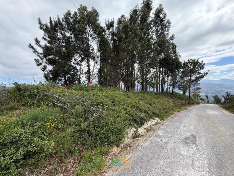 Terreno para Venda em Sabadim Foto 3