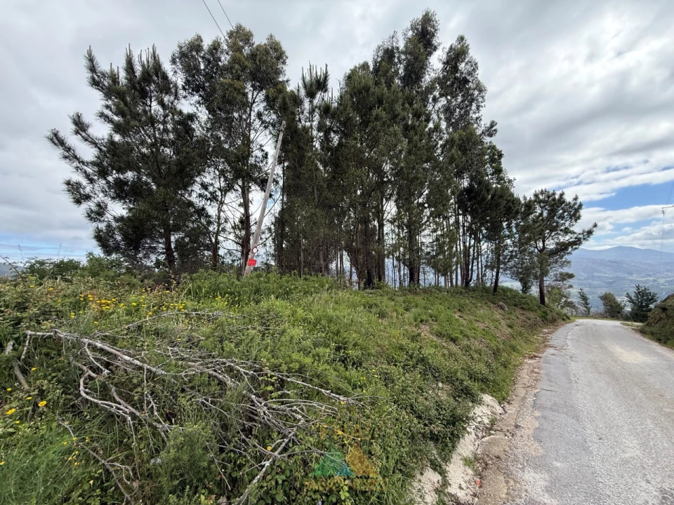 Terreno para Venda em Sabadim Foto 1