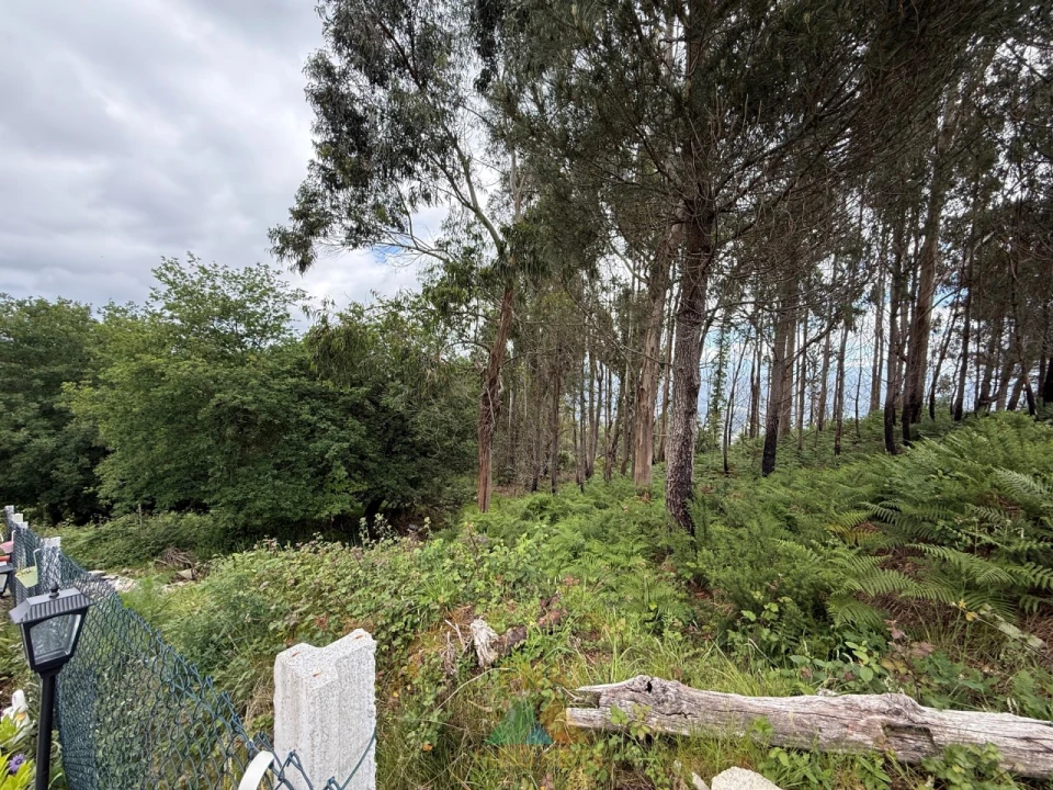 Terreno para Venda em Sabadim Foto 4
