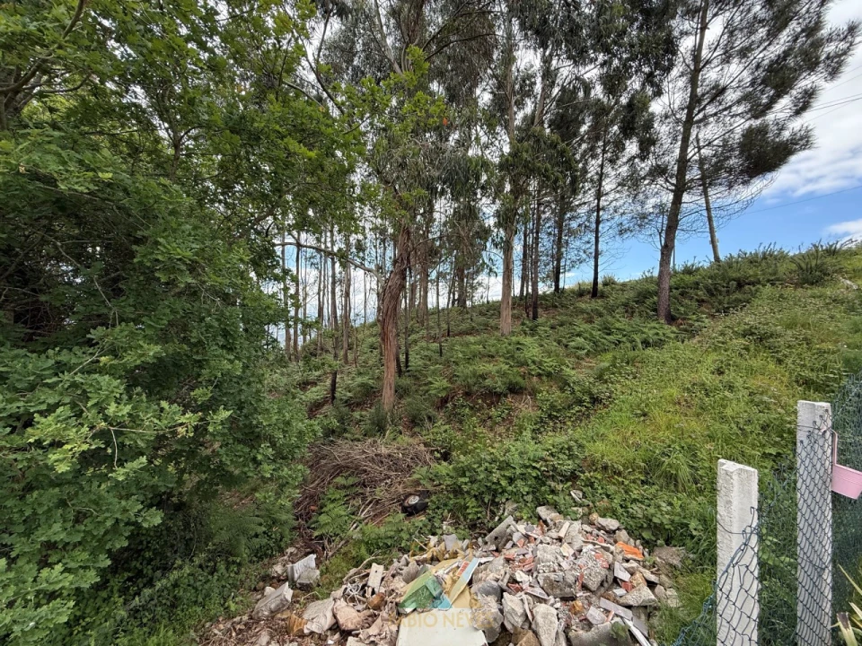 Terreno para Venda em Sabadim Foto 5