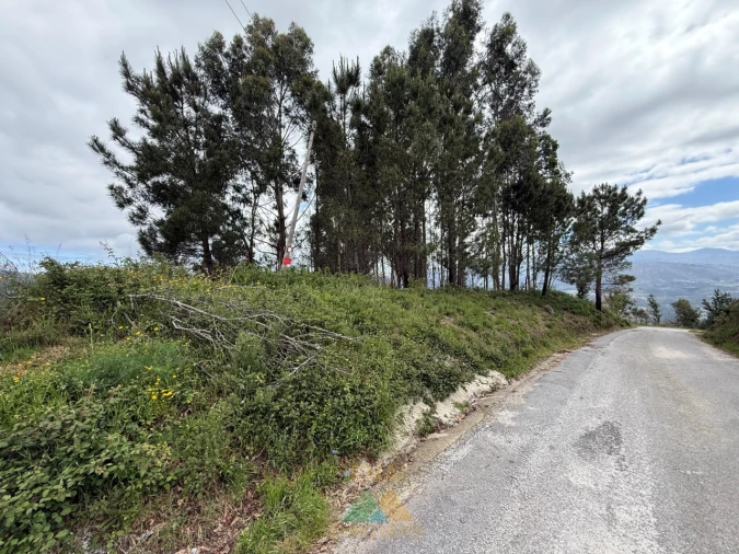 Terreno para Venda em Sabadim Foto 3
