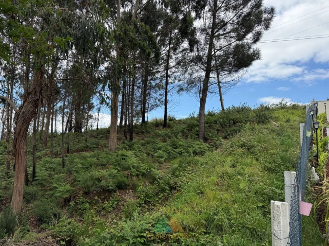 Terreno para Venda em Sabadim Foto 2