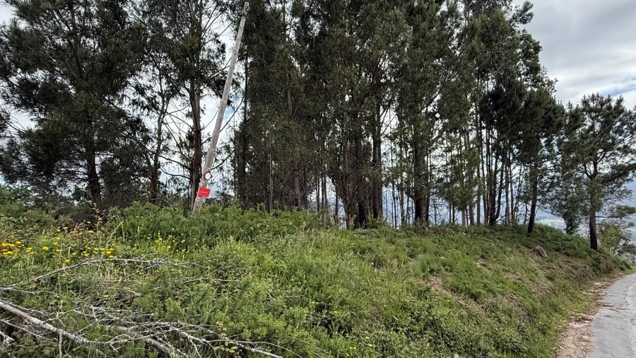 Terreno para Venda em Sabadim