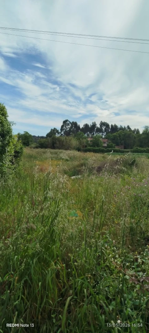 Terreno para Venda em Vila Nova de Anha