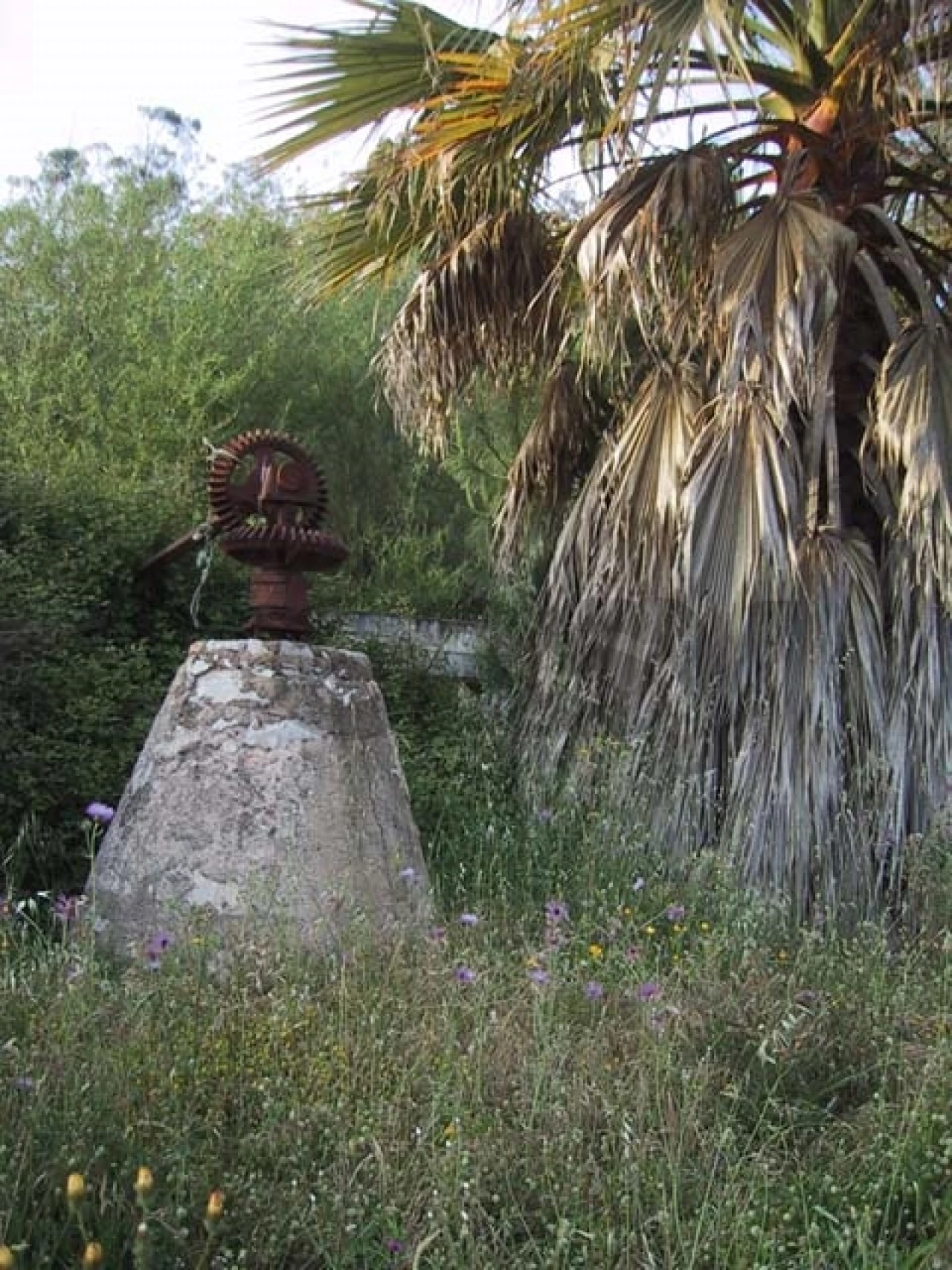 Quinta T0 para Venda em Montenegro Foto 3