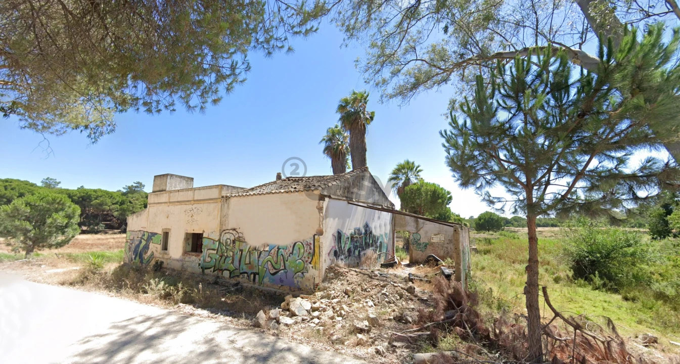 Quinta T0 para Venda em Montenegro Foto 40