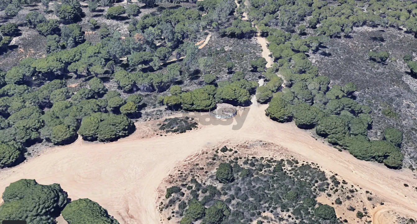 Quinta T0 para Venda em Montenegro Foto 48