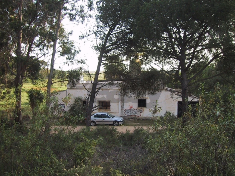 Quinta T0 para Venda em Montenegro Foto 2