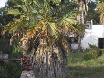 Quinta T0 para Venda em Montenegro