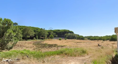 Quinta T0 para Venda em Montenegro